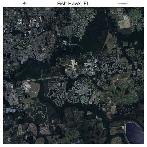 Aerial Photography Map of Fish Hawk, FL Florida