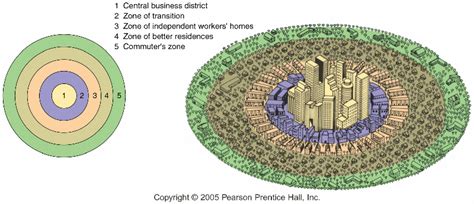 Urban Sprawl: The Importance of a Strong Central City Core | Urban sprawl, City core, Central city