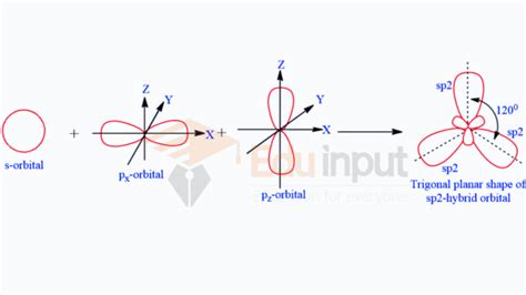 Sp2-hybridization, definition, explanation, examples and significance