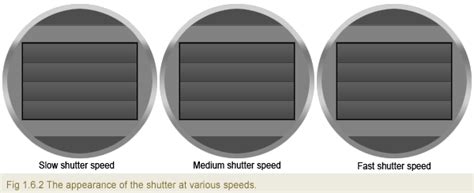 Photography 101.6 - Shutter