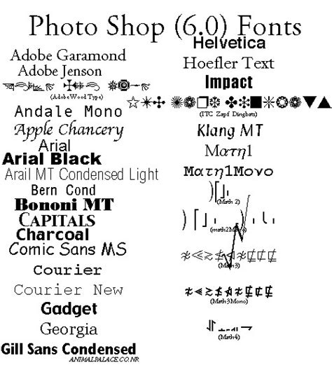 Group 5: Ancillary Research- fonts on photoshop