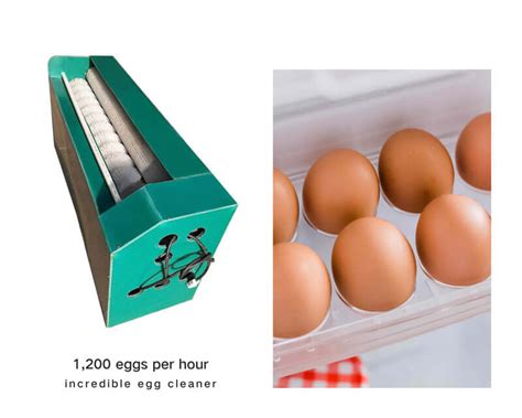 The Incredible Egg Cleaner for Fresh Eggs | Egg Processing Machines ...