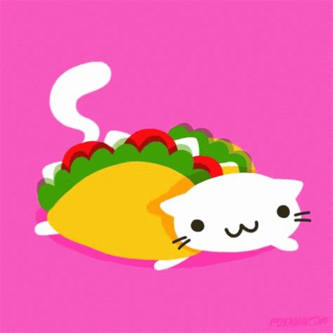 Cat Taco GIF - Cat Taco - Discover & Share GIFs