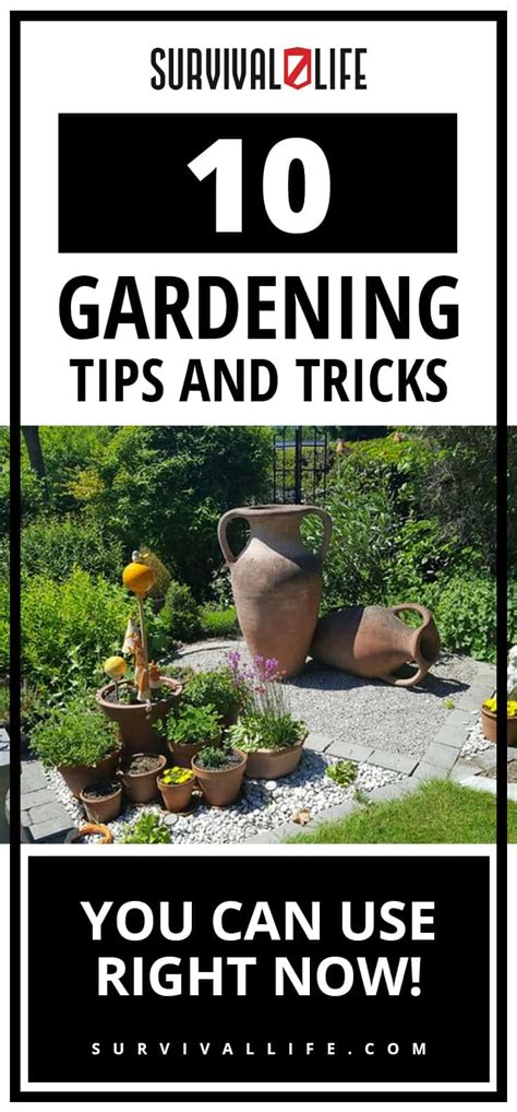 10 Gardening Tips And Tricks Everyone Should Know | Survival Life