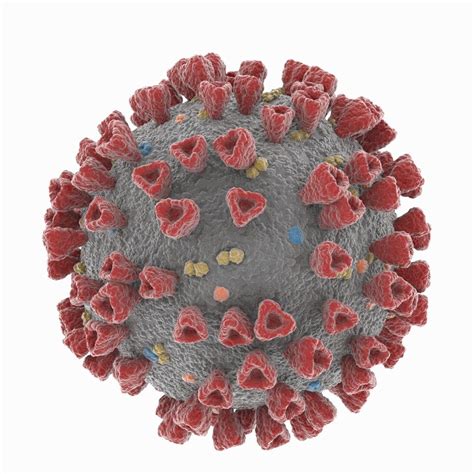 3D model Coronavirus 2019-nCoV SARS-CoV-2 Covid-19 VR / AR / low-poly | CGTrader