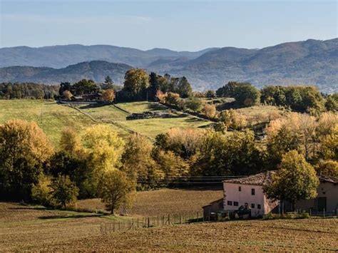 Mugello Truffle Hunting Experience, Tuscany • Things to do in Tuscany