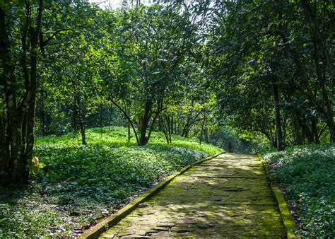 Aburi Botanical Gardens