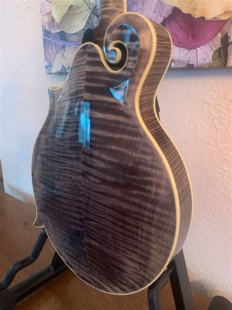 NEW PRICE: Weber Black Ice F-Style Mandolin - Mandolins, Instruments ...