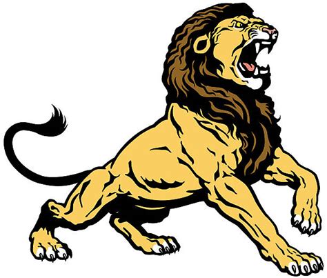 Male Lion Roaring Illustrations, Royalty-Free Vector Graphics & Clip Art - iStock