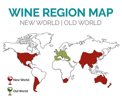 What is the Difference between Old World and New World Wines?