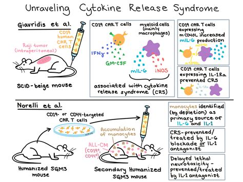 Playing the blame game with cytokine release syndrome