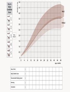 Image result for kitten growth chart weight | Kitten growth chart ...