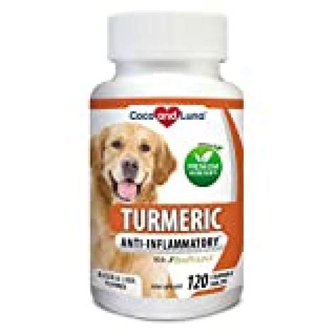 Turmeric for Dogs - Anti Inflammatory for Dogs - Curcumin and BioPerine ...