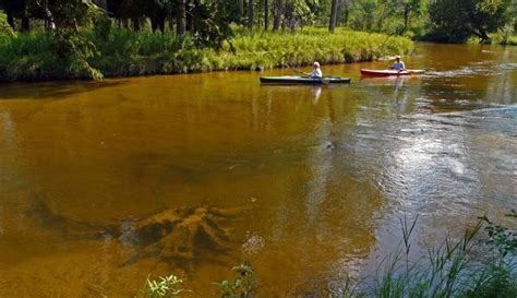 DIY Guide to Fly Fishing the Little Manistee River in Michigan | DIY Fly Fishing