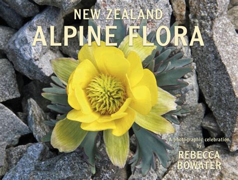 New Zealand Alpine Flora - The CopyPress