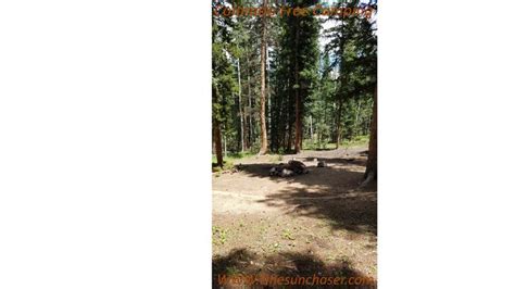 Free Campsite located at Kenosha Pass in Grant, Colorado. Great free camping close to Denver ...