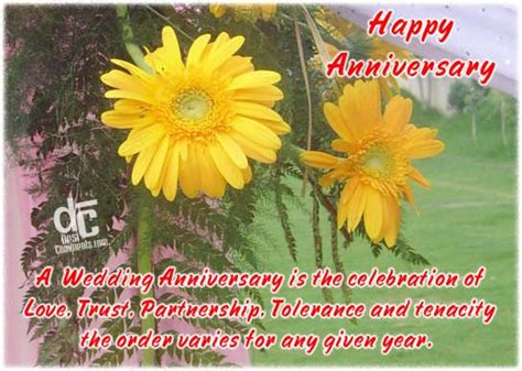 Happy Anniversary With Flowers - DesiComments.com