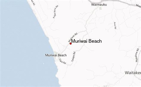 Muriwai Beach Location Guide