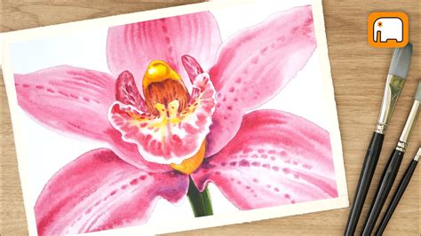 Watercolor tutorial PINK ORCHID / Close Up /Watercolor painting for beginner Step by step - YouTube