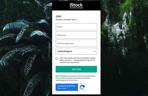 iStock Review (2024)