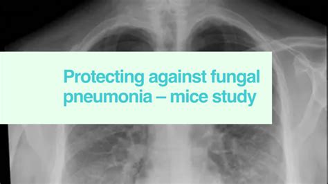 Protecting against fungal pneumonia