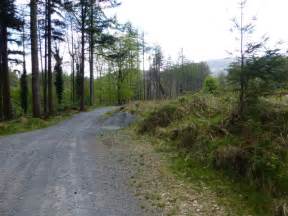 Path, Tollymore Forest Park © Kenneth Allen :: Geograph Britain and Ireland