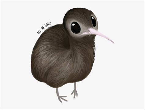 North Island Brown Kiwi PNG Image | Transparent PNG Free Download on SeekPNG