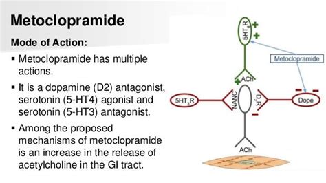 slsi.lk - how long for sulfatrim to work | Congratulate, reglan mechanism of action reserve