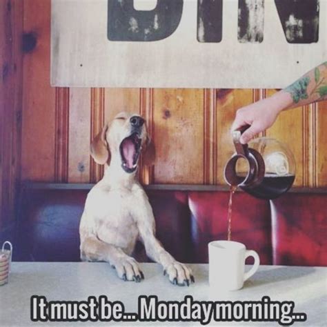 70 Funny Monday Memes To Help You Get Through The Day | Inspirationfeed