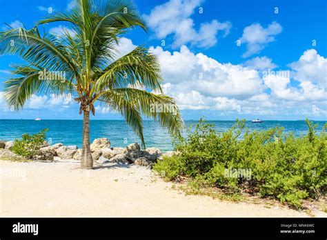 Paradise beach at Fort Zachary Taylor Park, Key West. State Park in Florida, USA Stock Photo - Alamy