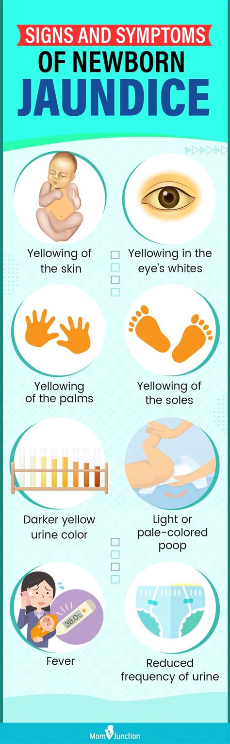 What Causes Jaundice When A Baby Is Born at Sharon Giuliano blog