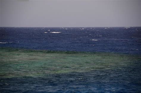 beautiful reef with blue sea water 6969555 Stock Photo at Vecteezy