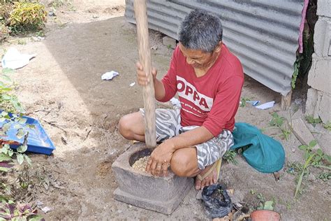 Civet poop coffee boosts livelihood, conservation in South Cotabato's Mt. Matutum