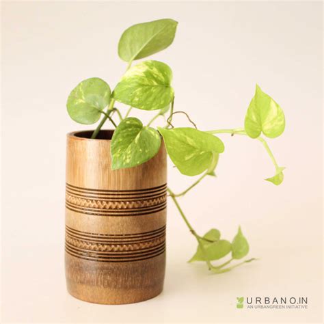 bamboo mini tabletop planter