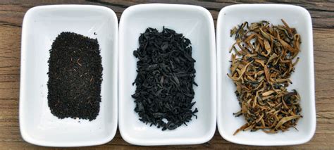 Beyond the bag: why whole leaf is better | Better Steeping