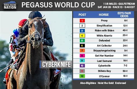 Pegasus World Cup 2023: DeRosa's fair-odds analysis