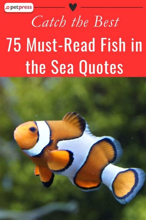 Catch the Best: 75 Must-Read Fish in the Sea Quotes - PetPress