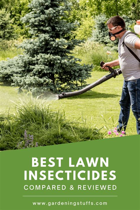 Best Lawn Insecticides Reviewed & Compared 2025