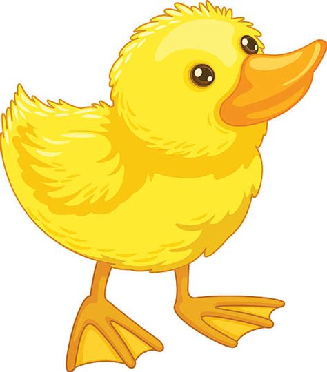 duck feet clipart 20 free Cliparts | Download images on Clipground 2024