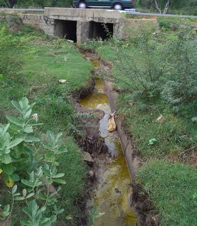 Water Contaminated Pollution Ranipet, India | Pollution Image Info