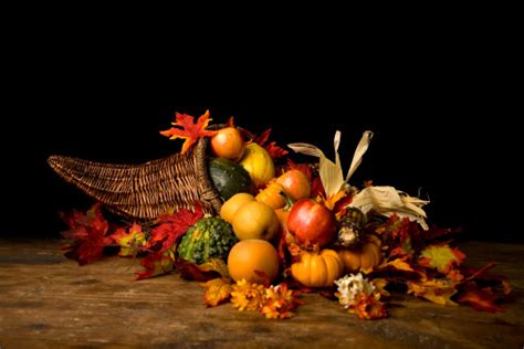 Thanksgiving Cornucopia Stock Photo - Download Image Now - iStock