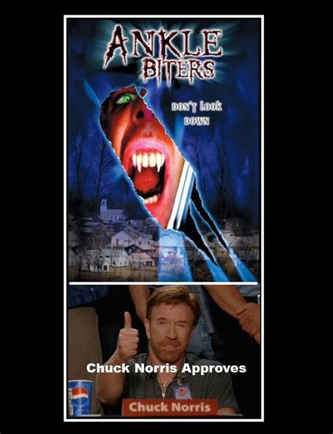 Ankle Biters Meme (Chuck Norris Approves) by NoRegionNitram on DeviantArt