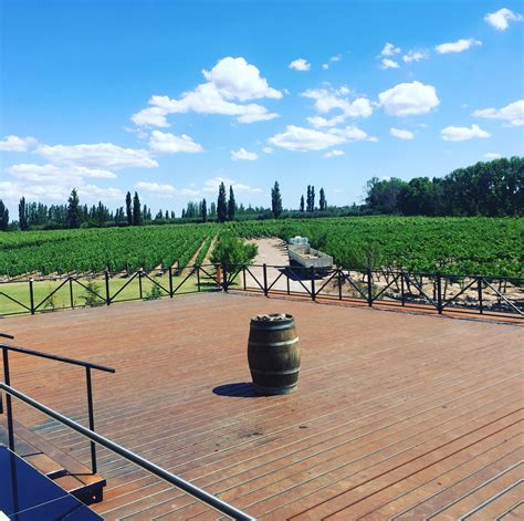 Wine tours -Mendoza, Argentina. : r/travel