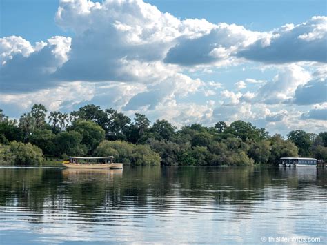 7 Awesome Tips for a Zambezi River Cruise in Victoria Falls