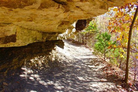 3 Reasons to Go Camping at Devil's Den State Park