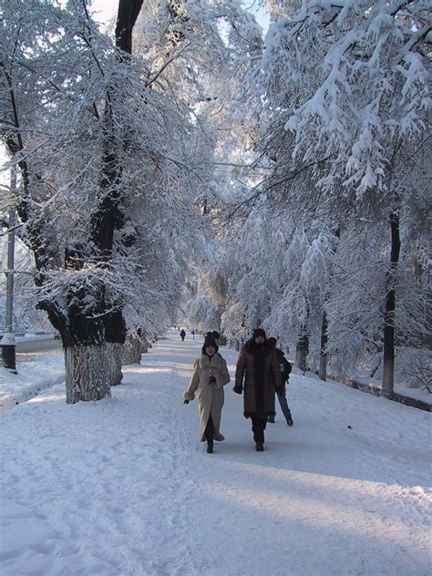 Almaty winter street | Winter scenes, Scenic photography, Adventure tourism