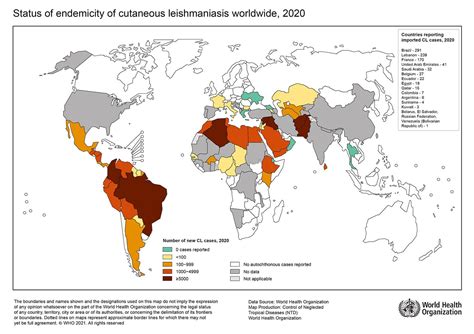 Symptoms, transmission, and current treatments for cutaneous leishmaniasis | DNDi