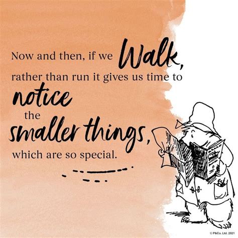 Paddington Bear Inspirational quote