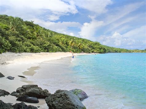 Hawksnest Bay Beach - St John Beach Guide | St John Beach Guide