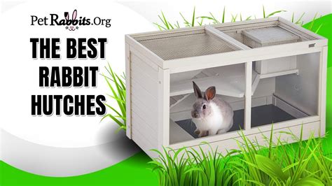 The Best Rabbit Hutches - Indoor and Outdoor Rabbit Hutches - YouTube